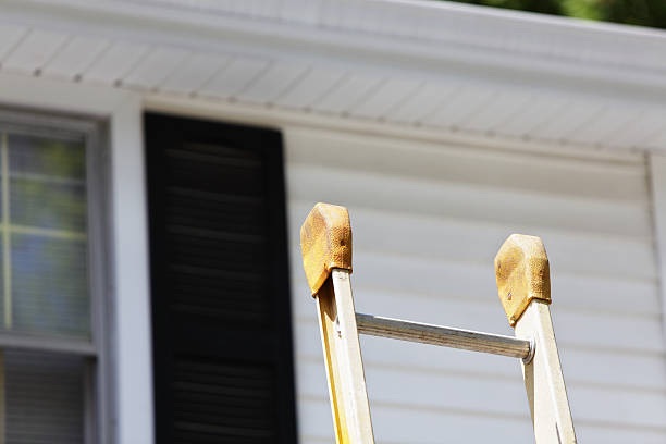 Best Storm Damage Siding Repair  in New Lexington, OH